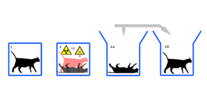 Schrödinger's cat demonstrating its alive and dead at the same time